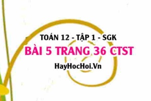 Bài 5 trang 36 Toán 12 tập 1 Chân trời sáng tạo